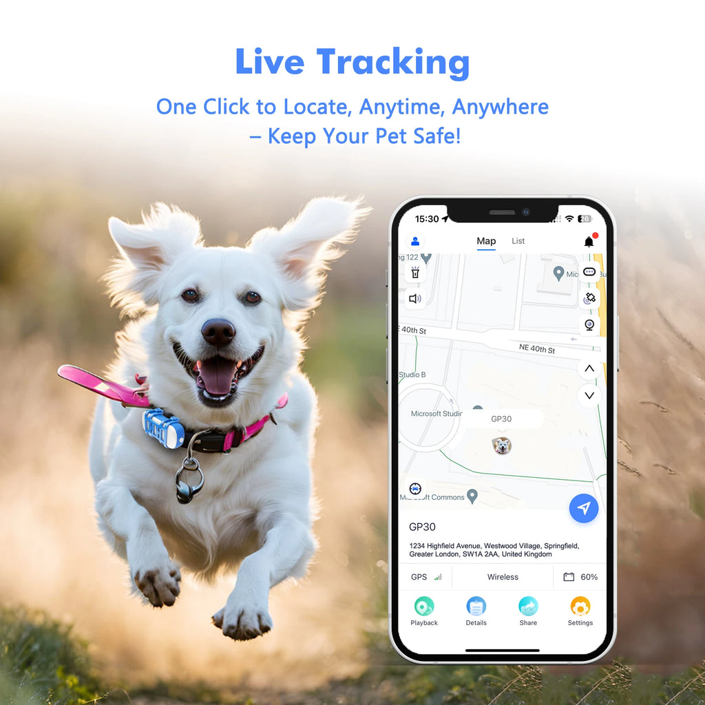4G LTE Live Pet GPS Tracker